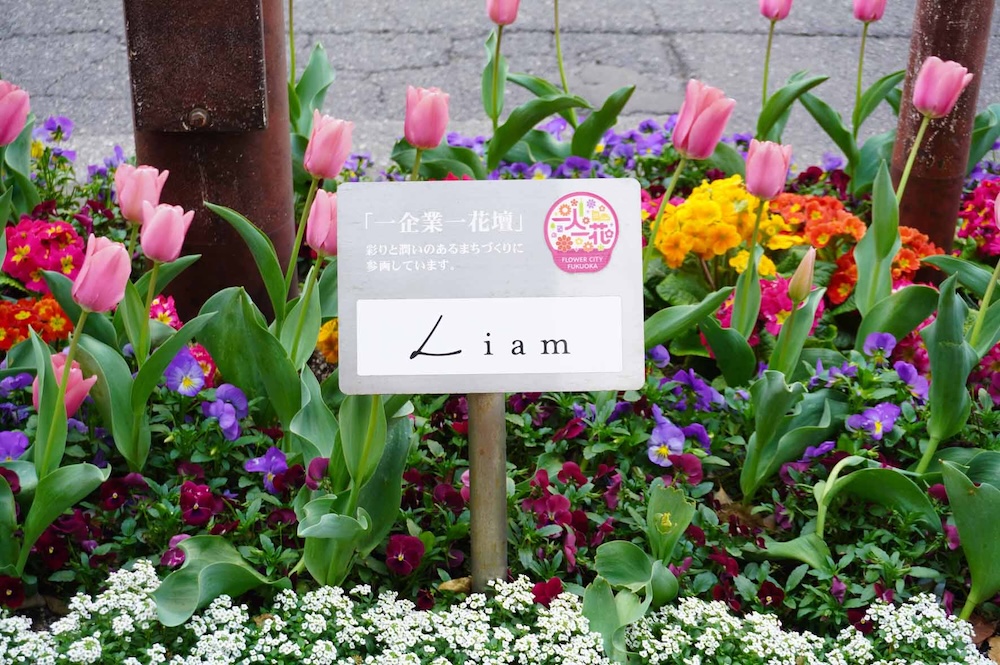 一人一花運動 おもてなし花壇