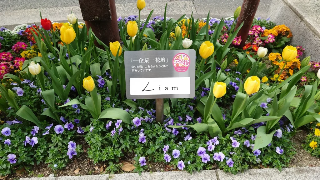 一人一花運動 おもてなし花壇